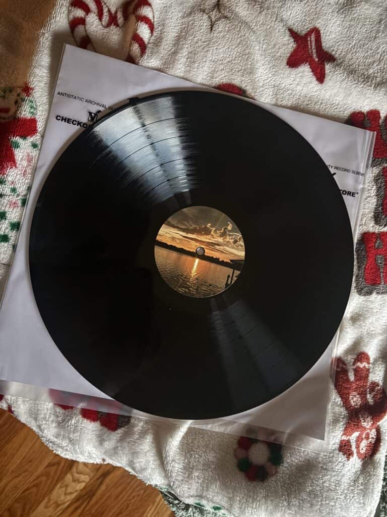 Personalized Vinyl Record by houseofrecords.co
