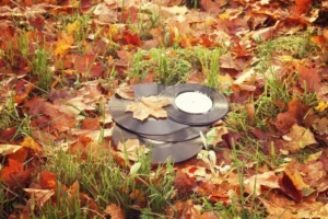 are vinyl records worth anything​ 